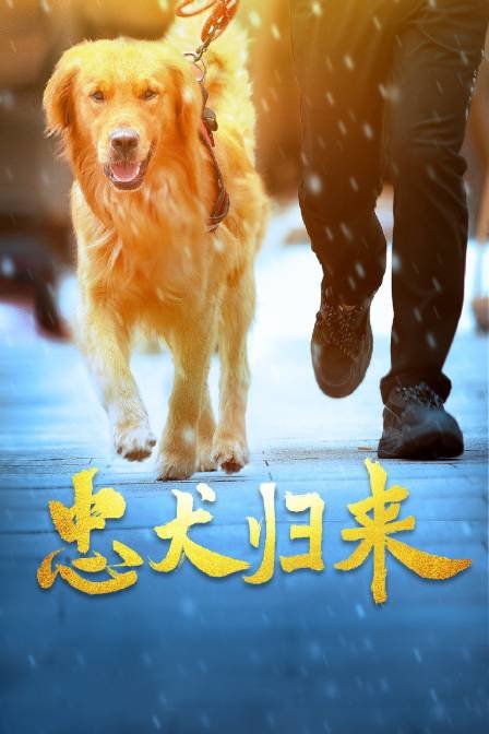 忠犬归来